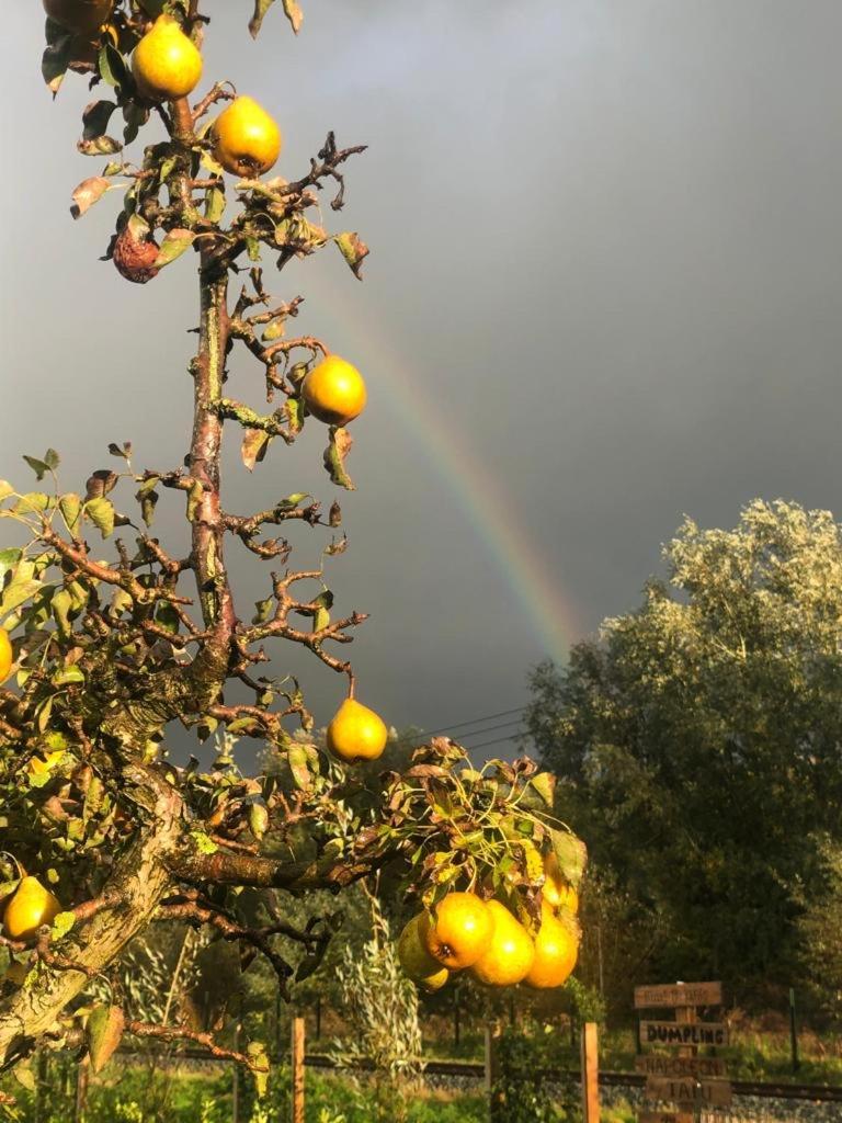 Droom aan de Linge Wadenoijen Buitenkant foto