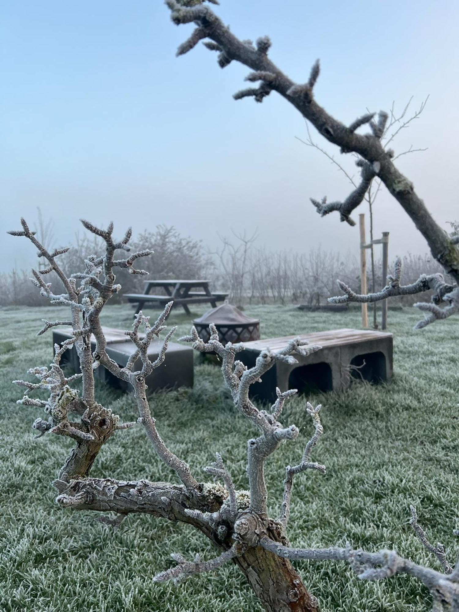 Droom aan de Linge Wadenoijen Buitenkant foto
